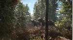 theHunter: Call of the Wild (Steam ключ / РФ+Весь Мир)
