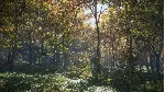 theHunter: Call of the Wild (Steam ключ / РФ+Весь Мир)