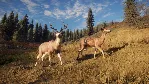 theHunter: Call of the Wild (Steam ключ / РФ+Весь Мир)