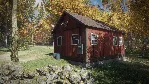theHunter: Call of the Wild (Steam ключ / РФ+Весь Мир)