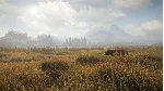 theHunter: Call of the Wild (Steam ключ / РФ+Весь Мир)