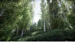 Berries Challenge (Steam key/Region free) - irongamers.ru
