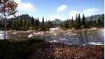 Hunting Simulator 2 Bear Hunter Edition XBOX ONE X|S 🔑 