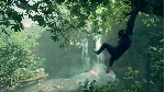 Ancestors: The Humankind Odyssey (Steam ключ | РФ+СНГ) - irongamers.ru