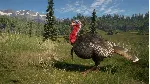 theHunter Call of the Wild - 2021 Edition Xbox one