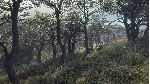 theHunter Call of the Wild - 2021 Edition Xbox one