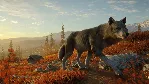 theHunter Call of the Wild - 2021 Edition Xbox one