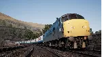 Train Sim World 2020 (steam key) - irongamers.ru