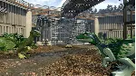 LEGO® Jurassic World™ XBOX [ Игровой Ключ 🔑 Код ]