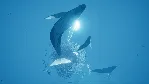 Rising Storm 2: Vietnam + ABZU | EPIC GAMES + ПОЧТА 🛡 ️