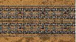 Factorio (Steam Gift Россия) - irongamers.ru