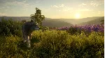 theHunter: Call of the Wild - Cuatro Colinas Game RU - irongamers.ru