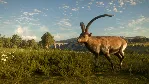 theHunter: Call of the Wild - Cuatro Colinas Game RU - irongamers.ru