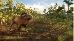 theHunter: Call of the Wild - Cuatro Colinas Game RU - irongamers.ru