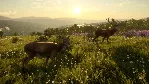theHunter: Call of the Wild - Cuatro Colinas Game RU - irongamers.ru