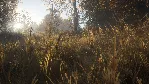 theHunter: Call of the Wild (Steam Gift Россия) - irongamers.ru