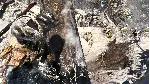 CALL OF DUTY: BLACK OPS (1) (Steam/RU+CIS) - irongamers.ru