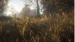 theHunter: Call of the Wild + 32 DLC | Steam | GLOBAL - irongamers.ru