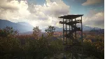 theHunter: Call of the Wild + 32 DLC | Steam | GLOBAL - irongamers.ru