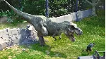 Jurassic World Evolution Steam Ключ Global + - irongamers.ru