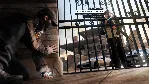 Watch Dogs Complete (WW) (Steam Gift Region Free / ROW)