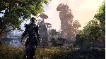 The Elder Scrolls Online XBOX ONE X|S Цифровой Ключ - irongamers.ru