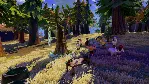 Tree of Life Steam Gift (RU/CIS)