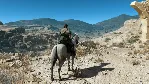 METAL GEAR SOLID V: The Definitive Experience [STEAM]