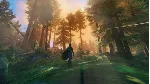 Valheim | Steam | АВТОВЫДАЧА 24/7