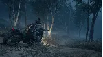 Days Gone Remastered + Broken Road | АВТОВЫДАЧА 24/7 - irongamers.ru