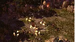 ⭐ Titan Quest Anniversary Edition - STEAM (GLOBAL) - irongamers.ru