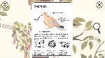 Little Mouse's Encyclopedia XBOX [ Ключ 🔑 Код ]