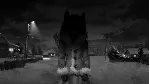 ⭐ Tiny Bunny - STEAM (GLOBAL) - irongamers.ru