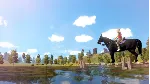 The Unicorn Princess XBOX [ Игровой Ключ 🔑 Код ]