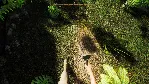 Treasure Hunter Simulator XBOX [ Игровой Ключ Код ] - irongamers.ru