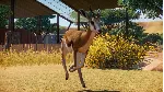 Planet Zoo Deluxe Edition [STEAM аккаунт]