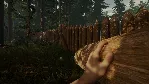 SCUM + The Forest + RAFT [STEAM аккаунт]