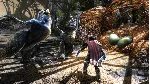 Kingdoms of Amalur: Re-Reckoning FATE Edition XBOX 🔑 