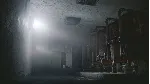 In rays of the Light XBOX ONE / XBOX SERIES X|S Ключ🔑 