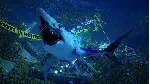 ⭐ Maneater - STEAM (GLOBAL) - irongamers.ru