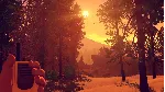Firewatch XBOX ONE / XBOX SERIES X|S [ Ключ 🔑 Код ]