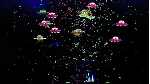 Krog Wars (Steam Key / Region Free)