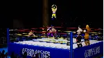 Action Arcade Wrestling XBOX [ Игровой Ключ Код ] - irongamers.ru