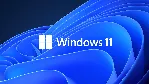 Windows 11 Professional OEM Key