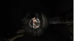 Allison&acute;s Diary Rebirth XBOX ONE / XBOX SERIES X|S - irongamers.ru
