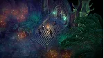 🌍 Pathfinder: Kingmaker - Definitive Edition XBOX КЛЮЧ