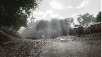 DESOLATE STEAM KEY REGION GLOBAL+РОССИЯ