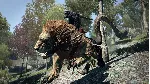 Dragon's Dogma: Dark Arisen XBOX ONE / XBOX XS Ключ 🔑 