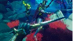 Until You Fall (Steam key / РФ+Весь Мир)