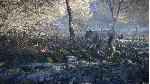 theHunter™: Call of the Wild - Medved-Taiga XBOX Код 🔑 